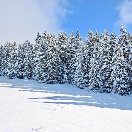 Apartament 3 Pieces Avec Terrasse Sud - Fr-1-340-288 Chamrousse